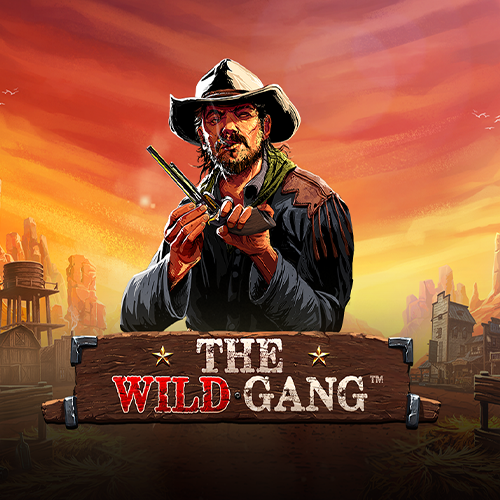 The Wild Gang